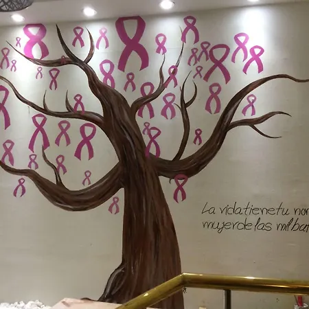 게스트하우스 Nevot